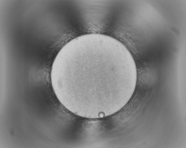 X0000115760313200912041416