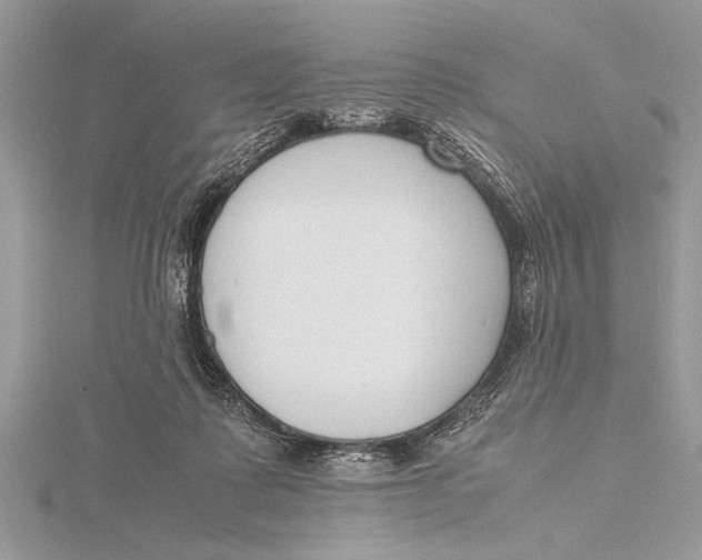 X0000115760315200912041416