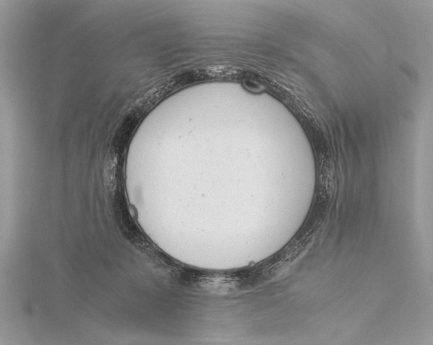 X0000115760319200912041416