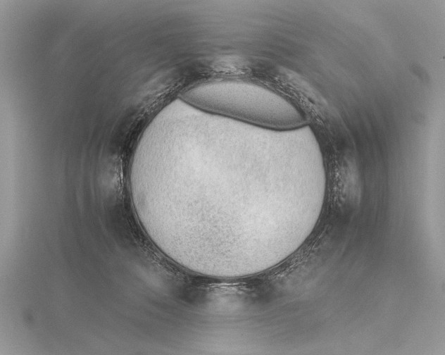 X0000115760320200912041416