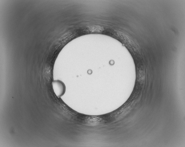 X0000115760321200912041416