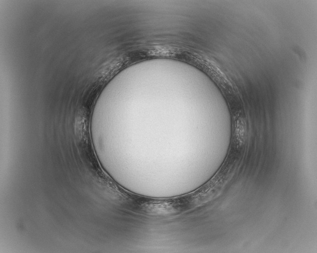 X0000115760322200912041416