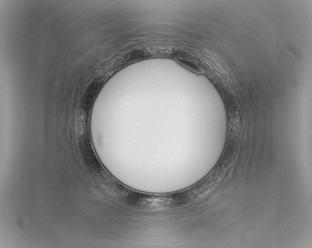 X0000115760323200912041416