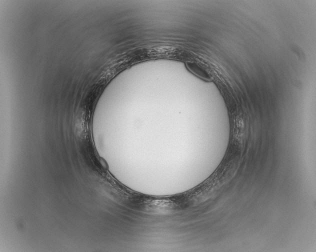 X0000115760324200912041416