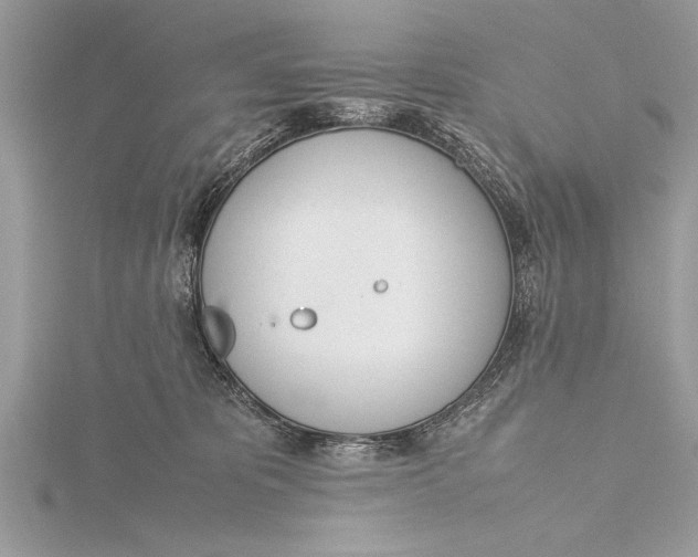 X0000115760325200912041415