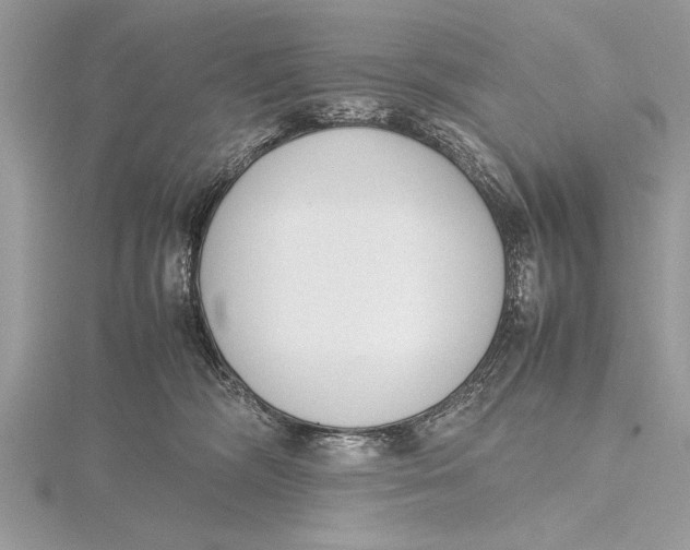 X0000115760326200912041415