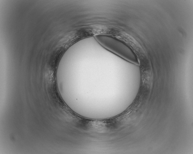 X0000115760327200912041415