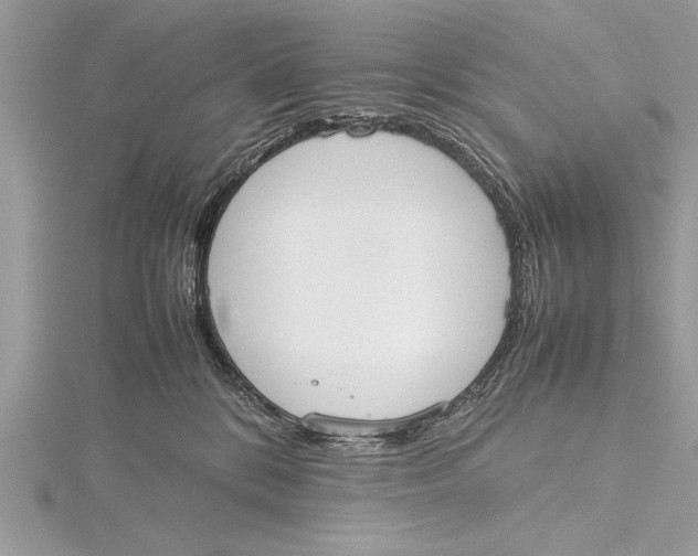 X0000115760328200912041415