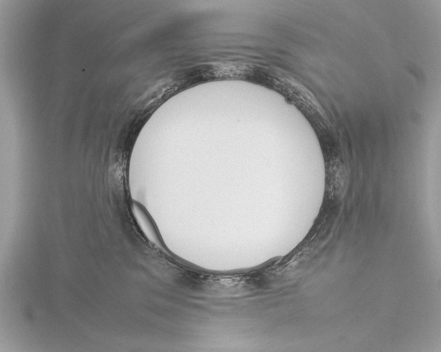 X0000115760329200912041415