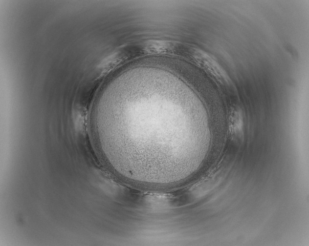 X0000115760332200912041415