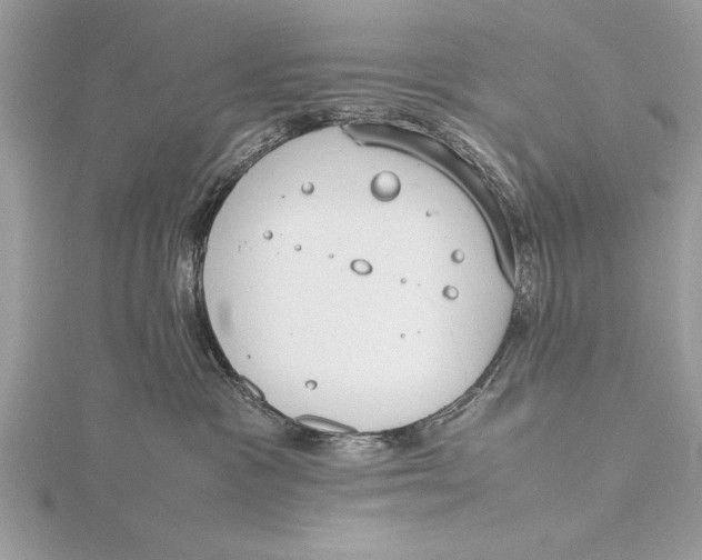 X0000115760333200912041415