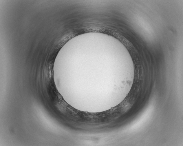 X0000115760334200912041415