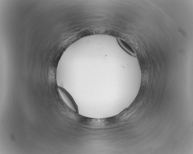 X0000115760335200912041415