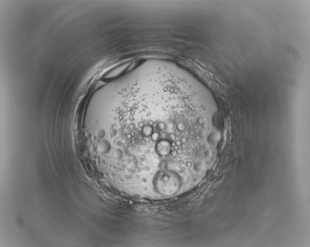 X0000115760339200912041415