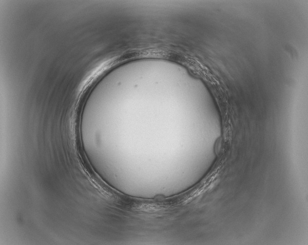 X0000115760341200912041415