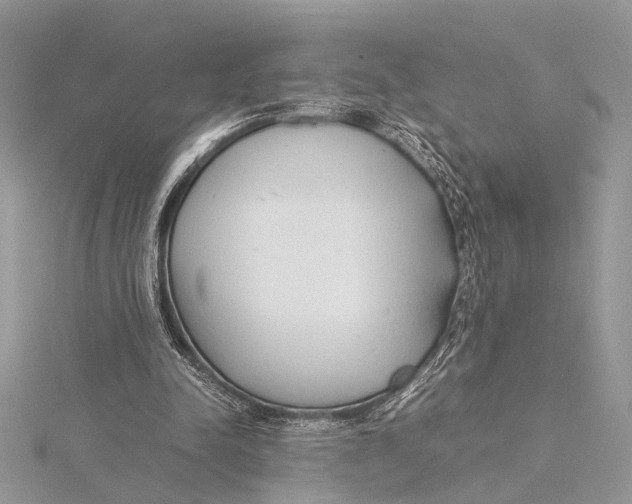 X0000115760342200912041415