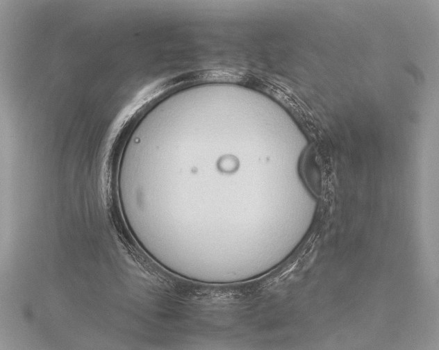 X0000115760343200912041415