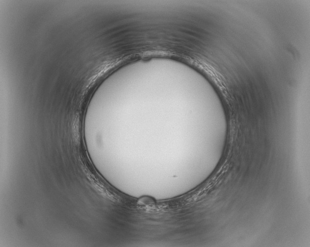 X0000115760345200912041415