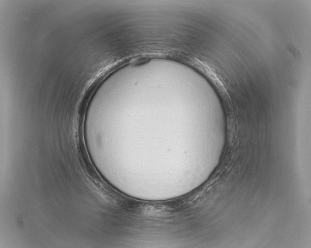 X0000115760346200912041415