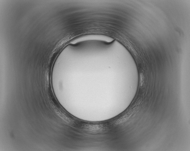 X0000115760349200912041415