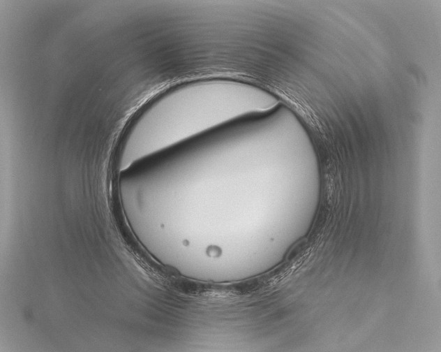 X0000115760350200912041415