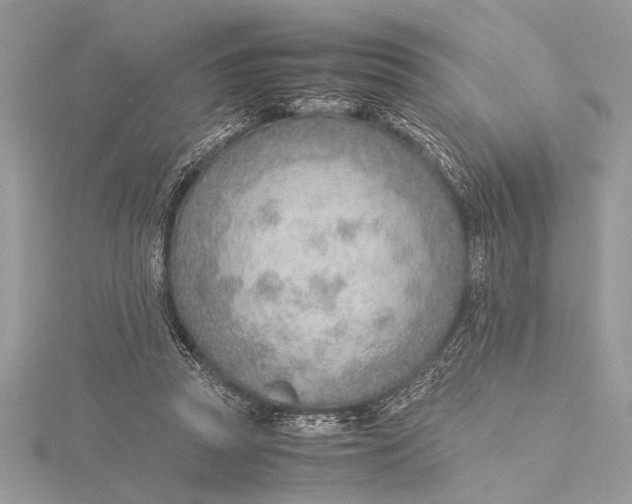 X0000115760353200912041415