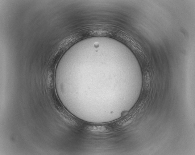 X0000115760361200912041415