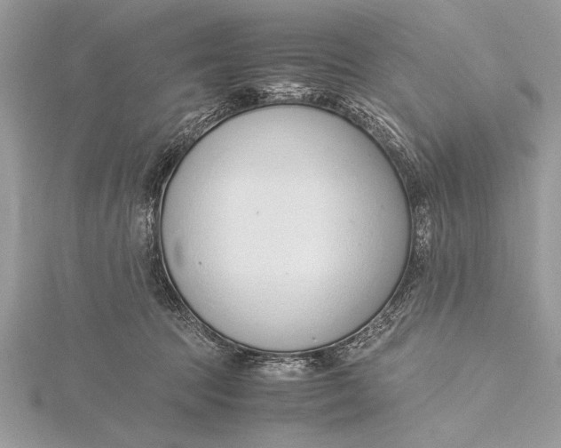 X0000115760369200912041415