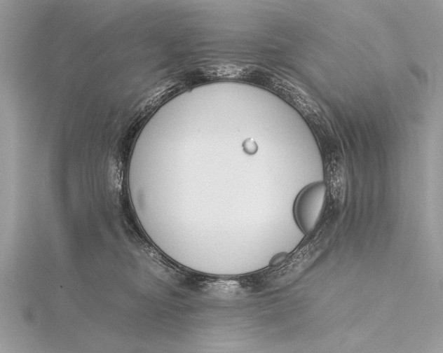 X0000115760374200912041415