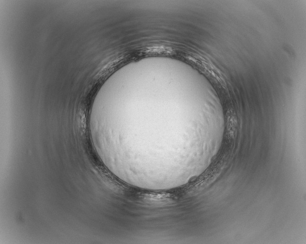 X0000115760375200912041415