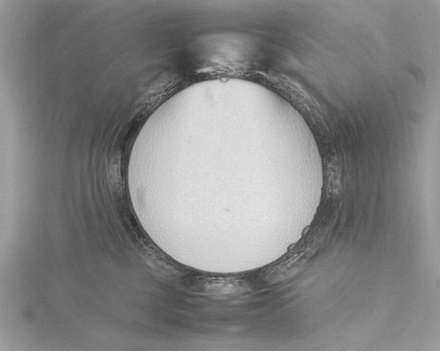 X0000115760377200912041415