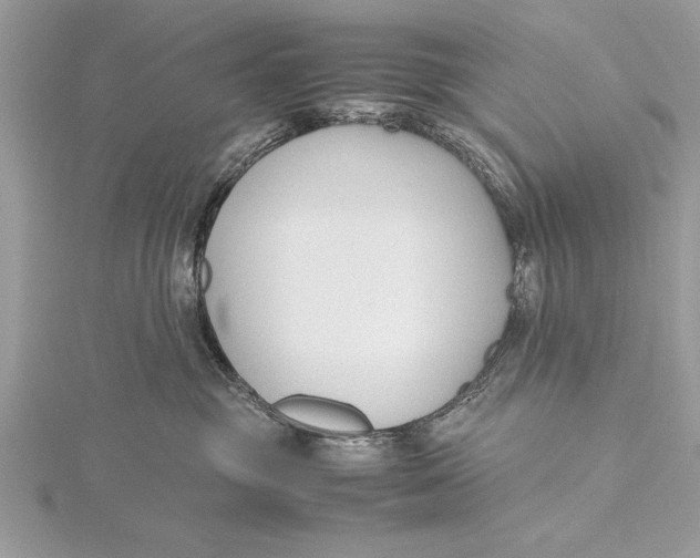 X0000115760381200912041415