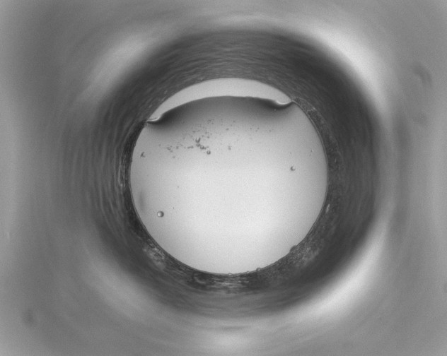 X0000115760382200912041415