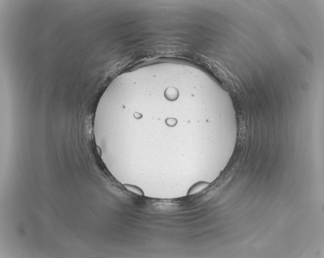 X0000115760383200912041415