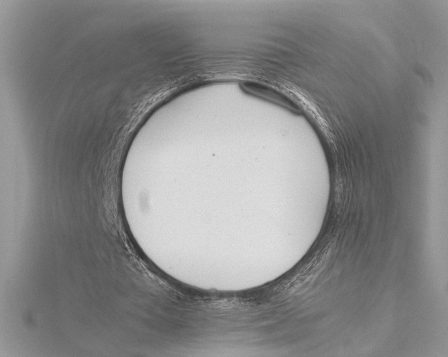 X0000115760385200912041415