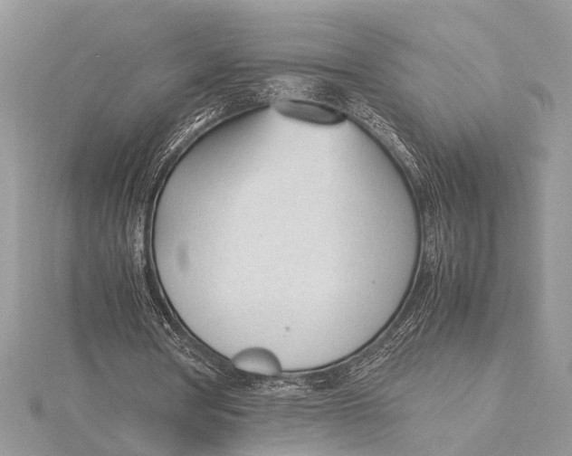 X0000115760386200912041415