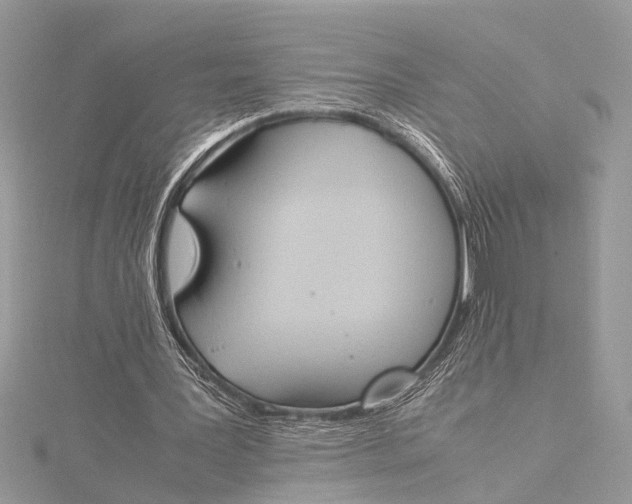 X0000115760387200912041415