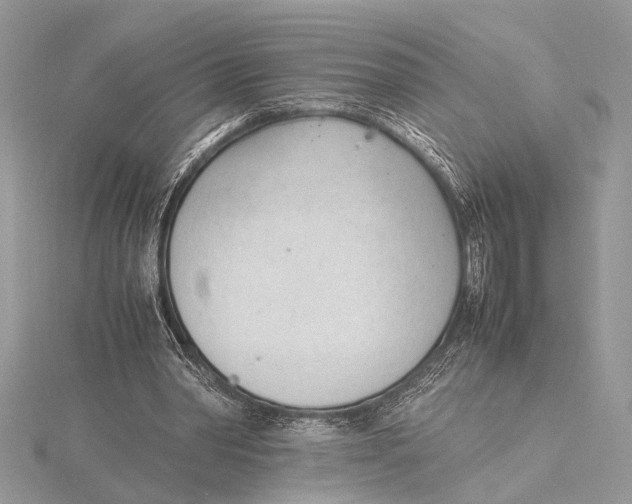 X0000115760390200912041415