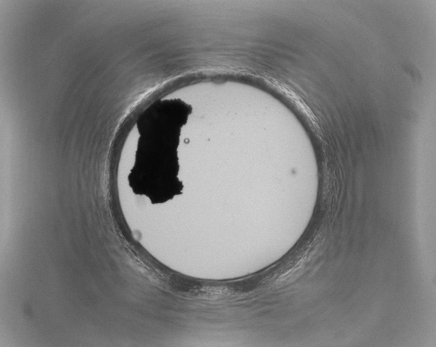 X0000115760391200912041415