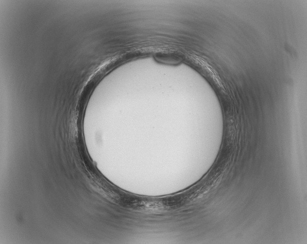 X0000115760395200912041415