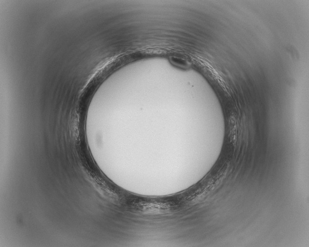 X0000115760400200912041415