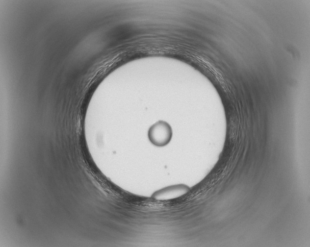 X0000115760405200912041414