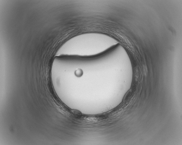 X0000115760409200912041414