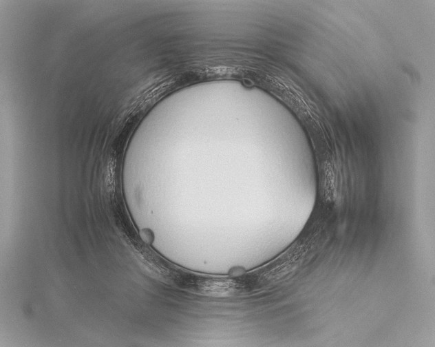 X0000115760410200912041414