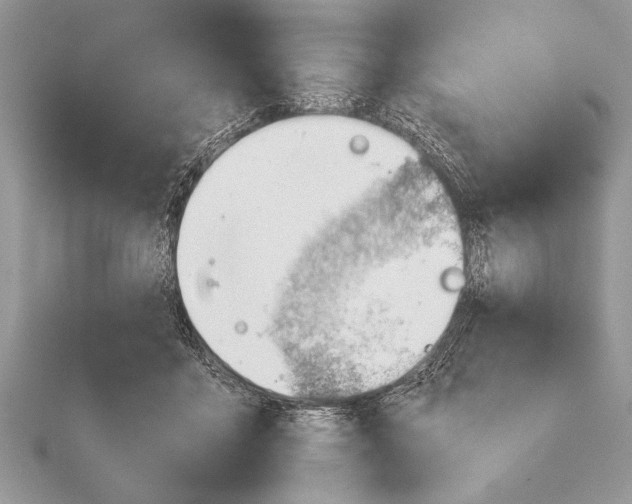 X0000115760411200912041414