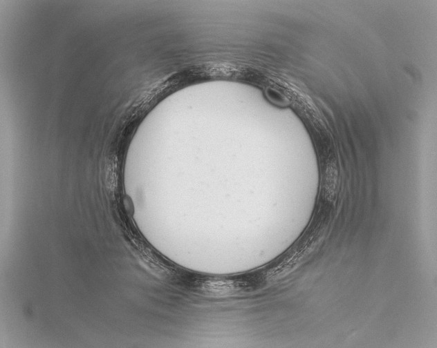 X0000115760413200912041414