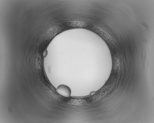 X0000115760414200912041414