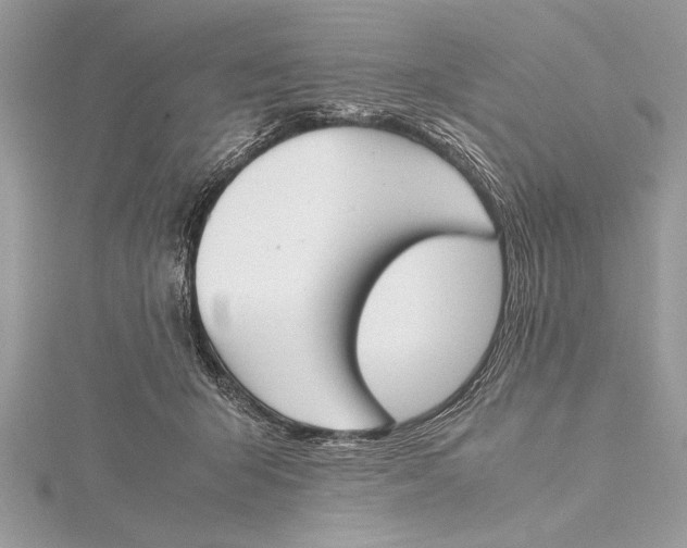 X0000115760415200912041414