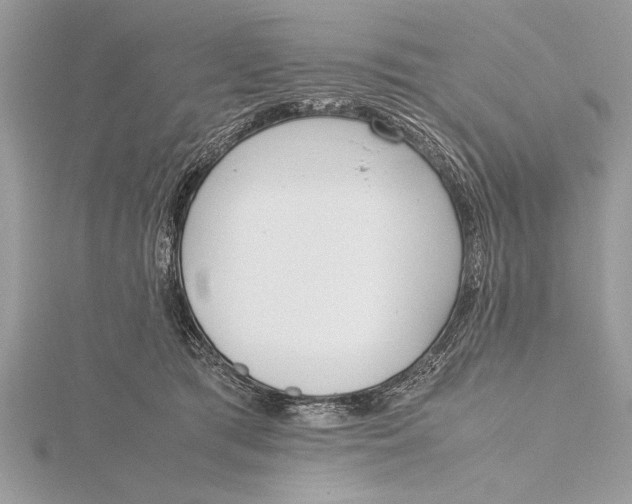 X0000115760417200912041414