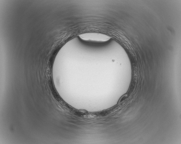 X0000115760419200912041414